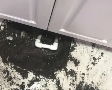 新源查漏水哪家好